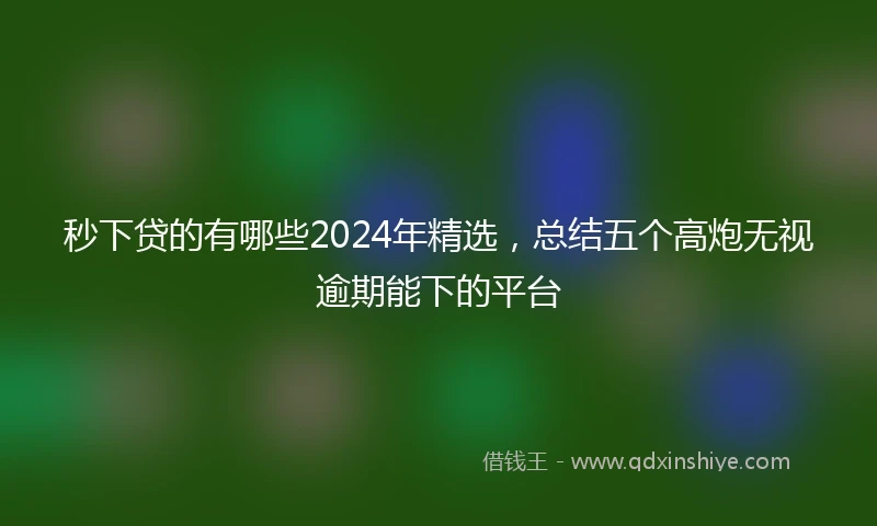 秒下贷的有哪些2024年精选，总结五个高炮无视逾期能下的平台