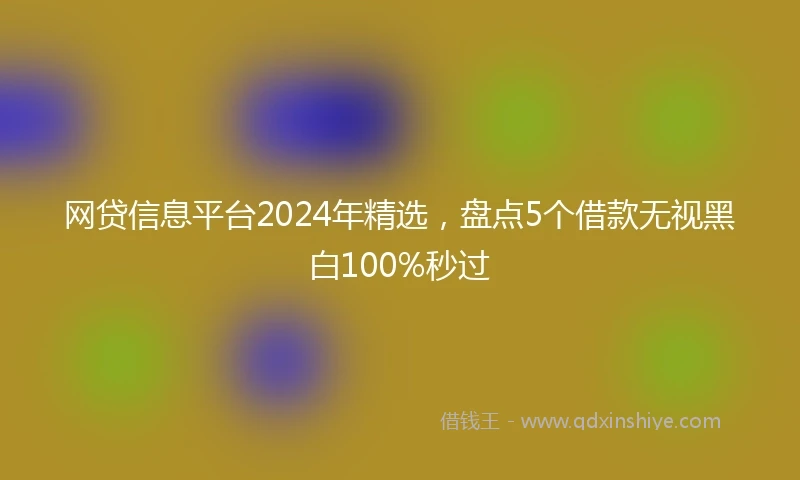 网贷信息平台2024年精选，盘点5个借款无视黑白100%秒过