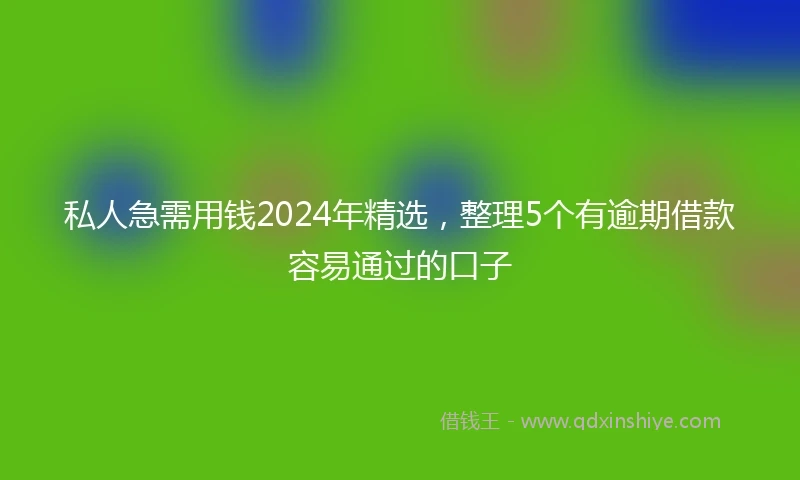 私人急需用钱2024年精选，整理5个有逾期借款容易通过的口子
