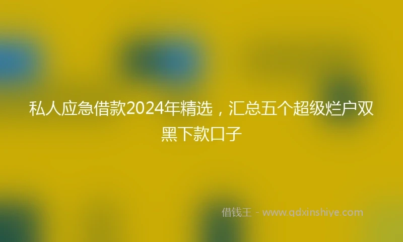 私人应急借款2024年精选，汇总五个超级烂户双黑下款口子