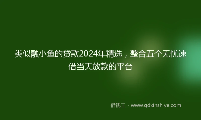 类似融小鱼的贷款2024年精选，整合五个无忧速借当天放款的平台