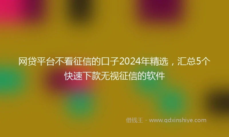 网贷平台不看征信的口子2024年精选，汇总5个快速下款无视征信的软件