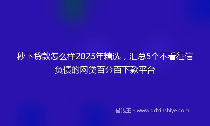 秒下贷款怎么样2025年精选，汇总5个不看征信负债的网贷百分百下款平台