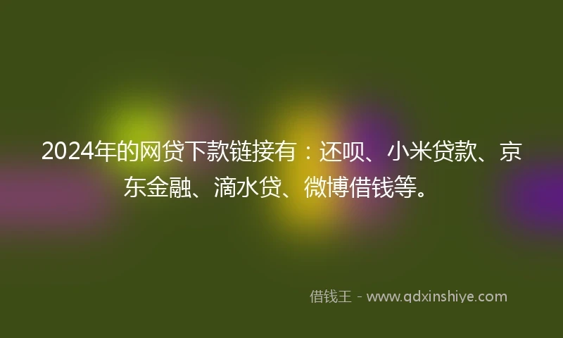 2024年的网贷下款链接有：还呗、小米贷款、京东金融、滴水贷、微博借钱等。