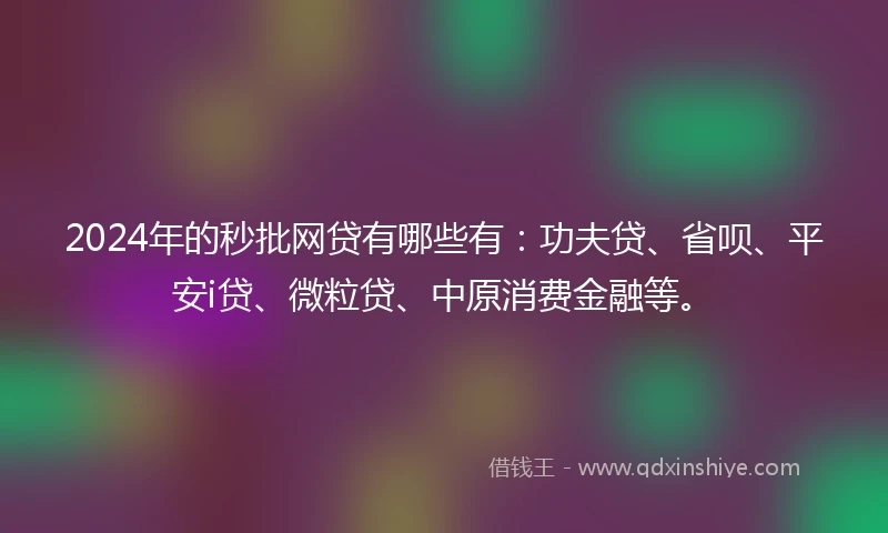 2024年的秒批网贷有哪些有：功夫贷、省呗、平安i贷、微粒贷、中原消费金融等。