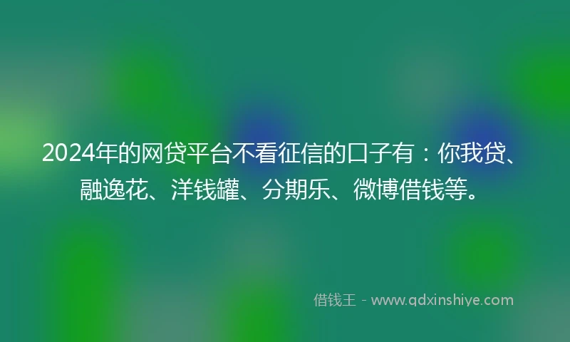 2024年的网贷平台不看征信的口子有：你我贷、融逸花、洋钱罐、分期乐、微博借钱等。