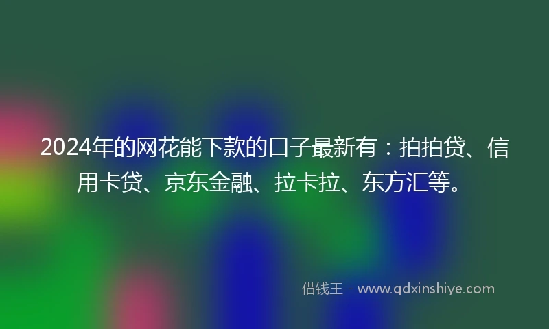 2024年的网花能下款的口子最新有：拍拍贷、信用卡贷、京东金融、拉卡拉、东方汇等。
