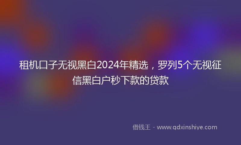 租机口子无视黑白2024年精选，罗列5个无视征信黑白户秒下款的贷款