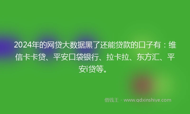 2024年的网贷大数据黑了还能贷款的口子有：维信卡卡贷、平安口袋银行、拉卡拉、东方汇、平安i贷等。