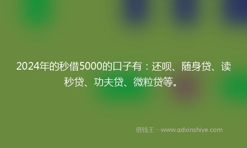 2024年的秒借5000的口子有：还呗、随身贷、读秒贷、功夫贷、微粒贷等。