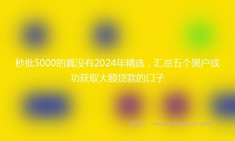 秒批5000的真没有2024年精选，汇总五个黑户成功获取大额贷款的口子