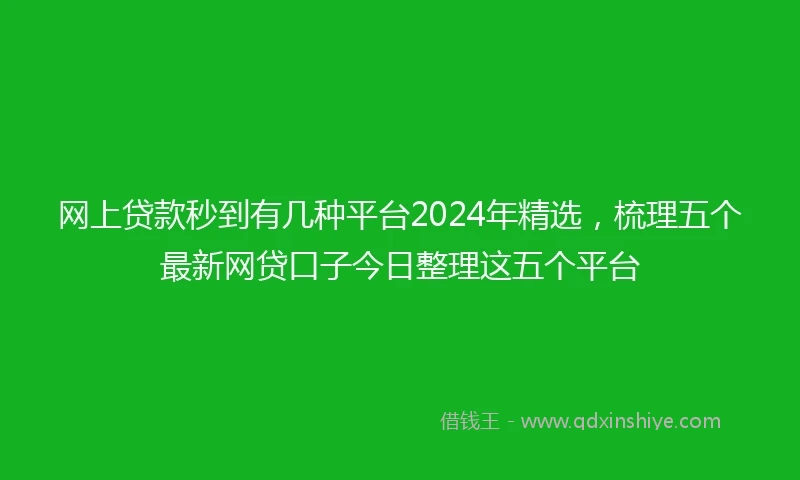 网上贷款秒到有几种平台2024年精选，梳理五个最新网贷口子今日整理这五个平台