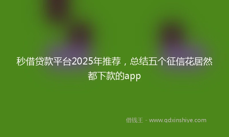 秒借贷款平台2025年推荐，总结五个征信花居然都下款的app