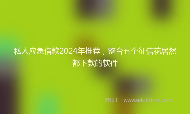 私人应急借款2024年推荐，整合五个征信花居然都下款的软件