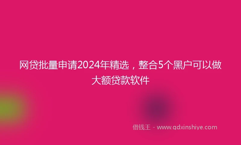 网贷批量申请2024年精选,整合5个黑户可以做大额贷款软件
