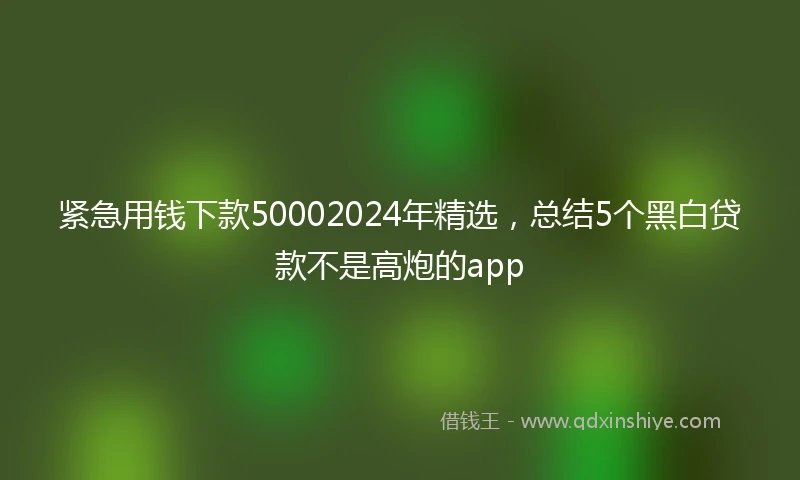 紧急用钱下款50002024年精选，总结5个黑白贷款不是高炮的app