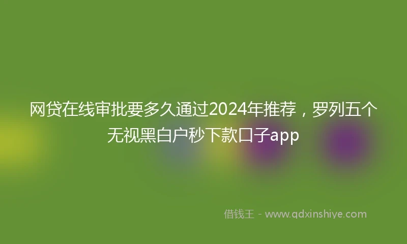 网贷在线审批要多久通过2024年推荐，罗列五个无视黑白户秒下款口子app