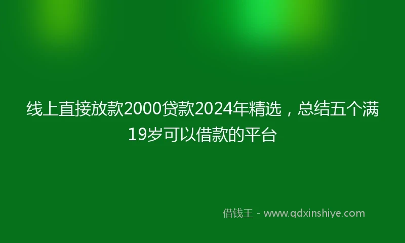 线上直接放款2000贷款2024年精选，总结五个满19岁可以借款的平台