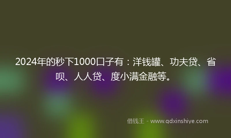 2024年的秒下1000口子有：洋钱罐、功夫贷、省呗、人人贷、度小满金融等。