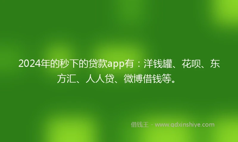 2024年的秒下的贷款app有：洋钱罐、花呗、东方汇、人人贷、微博借钱等。