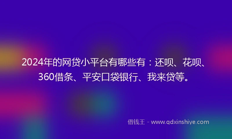 2024年的网贷小平台有哪些有：还呗、花呗、360借条、平安口袋银行、我来贷等。