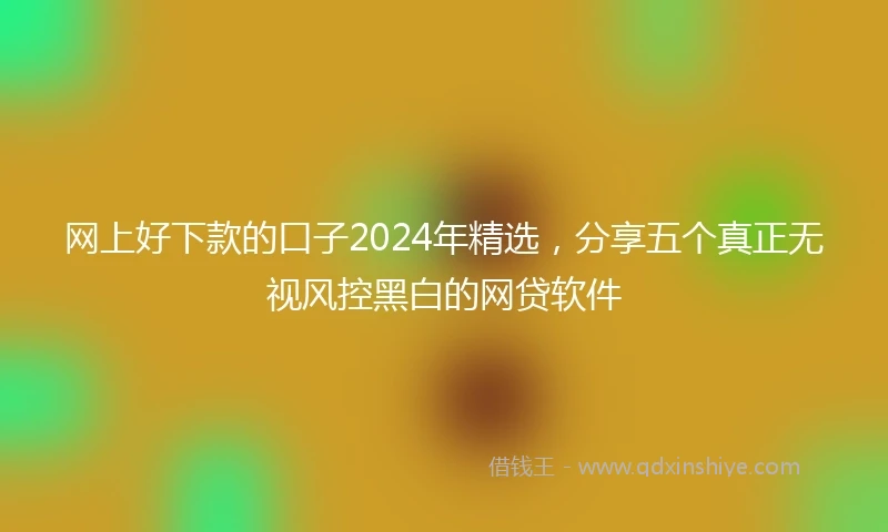 网上好下款的口子2024年精选,分享五个真正无视风控黑白的网贷软件