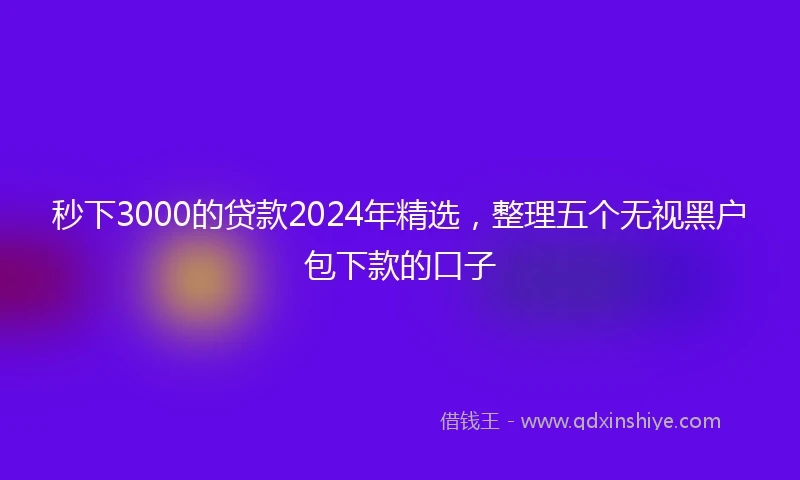 秒下3000的贷款2024年精选，整理五个无视黑户包下款的口子