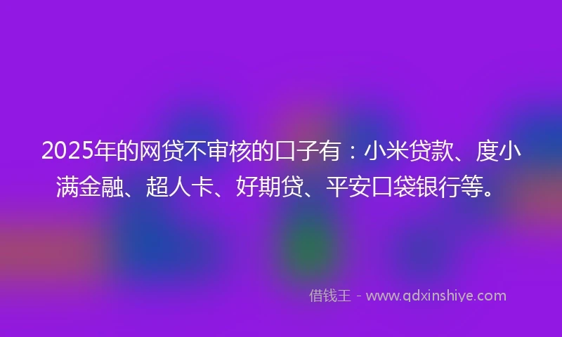 2025年的网贷不审核的口子有：小米贷款、度小满金融、超人卡、好期贷、平安口袋银行等。