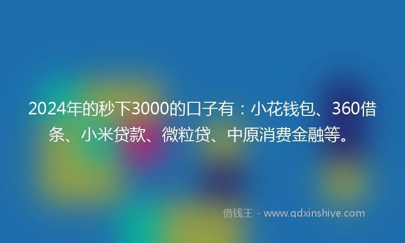 2024年的秒下3000的口子有：小花钱包、360借条、小米贷款、微粒贷、中原消费金融等。