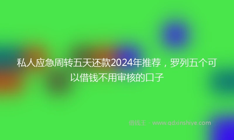 私人应急周转五天还款2024年推荐，罗列五个可以借钱不用审核的口子