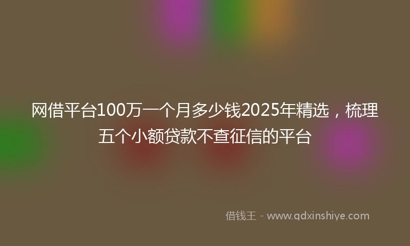 网借平台100万一个月多少钱2025年精选，梳理五个小额贷款不查征信的平台