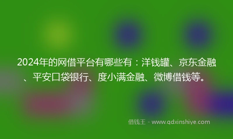 2024年的网借平台有哪些有：洋钱罐、京东金融、平安口袋银行、度小满金融、微博借钱等。