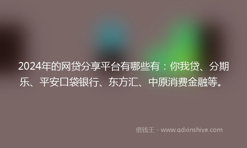 2024年的网贷分享平台有哪些有：你我贷、分期乐、平安口袋银行、东方汇、中原消费金融等。