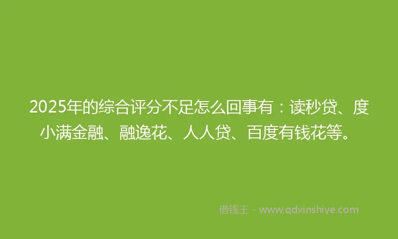 2025年的综合评分不足怎么回事有：读秒贷、度小满金融、融逸花、人人贷、百度有钱花等。