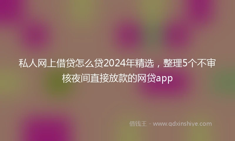 私人网上借贷怎么贷2024年精选，整理5个不审核夜间直接放款的网贷app