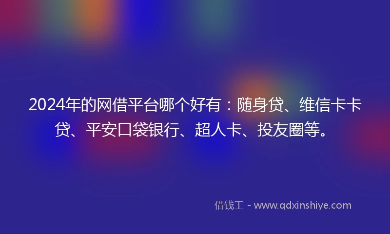 2024年的网借平台哪个好有：随身贷、维信卡卡贷、平安口袋银行、超人卡、投友圈等。