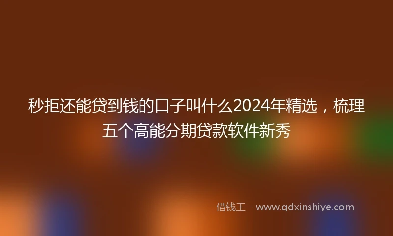 秒拒还能贷到钱的口子叫什么2024年精选，梳理五个高能分期贷款软件新秀