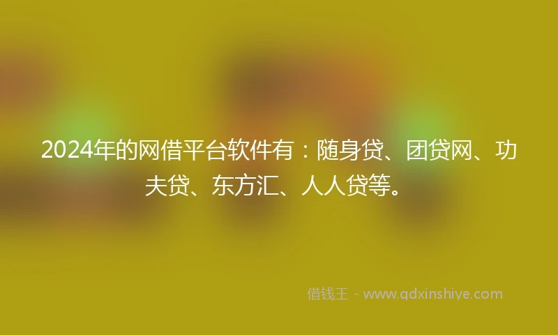 2024年的网借平台软件有：随身贷、团贷网、功夫贷、东方汇、人人贷等。