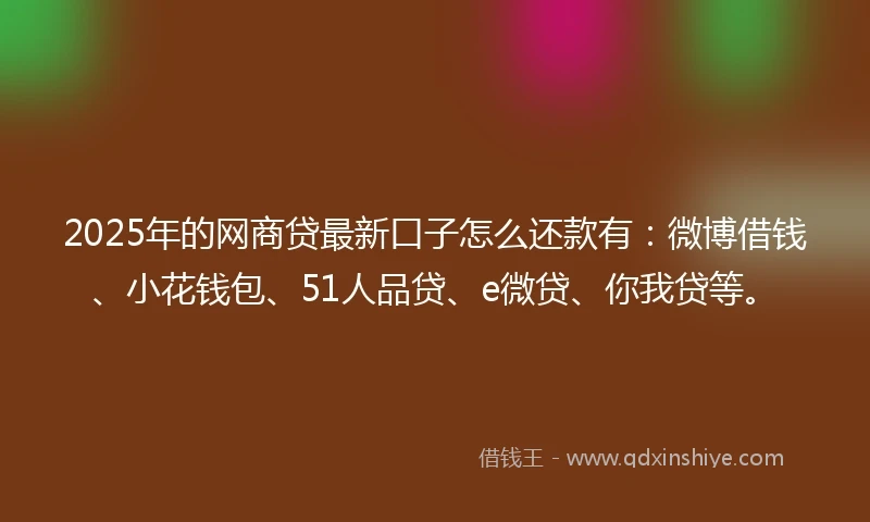 2025年的网商贷最新口子怎么还款有：微博借钱、小花钱包、51人品贷、e微贷、你我贷等。