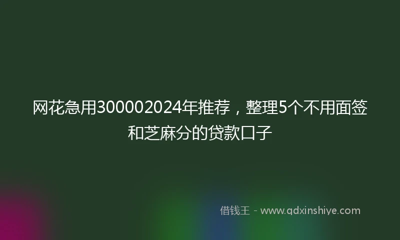 网花急用300002024年推荐，整理5个不用面签和芝麻分的贷款口子