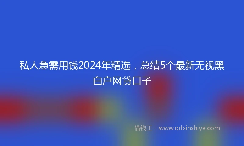 私人急需用钱2024年精选，总结5个最新无视黑白户网贷口子