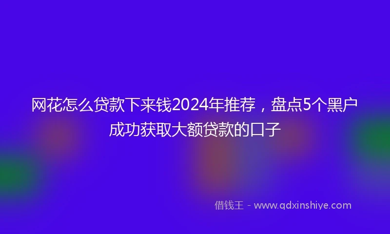 网花怎么贷款下来钱2024年推荐，盘点5个黑户成功获取大额贷款的口子