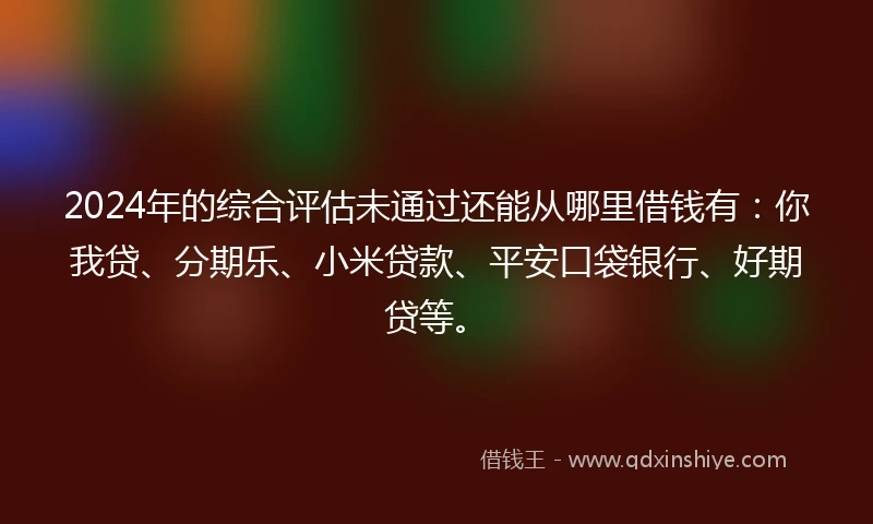 2024年的综合评估未通过还能从哪里借钱有：你我贷、分期乐、小米贷款、平安口袋银行、好期贷等。