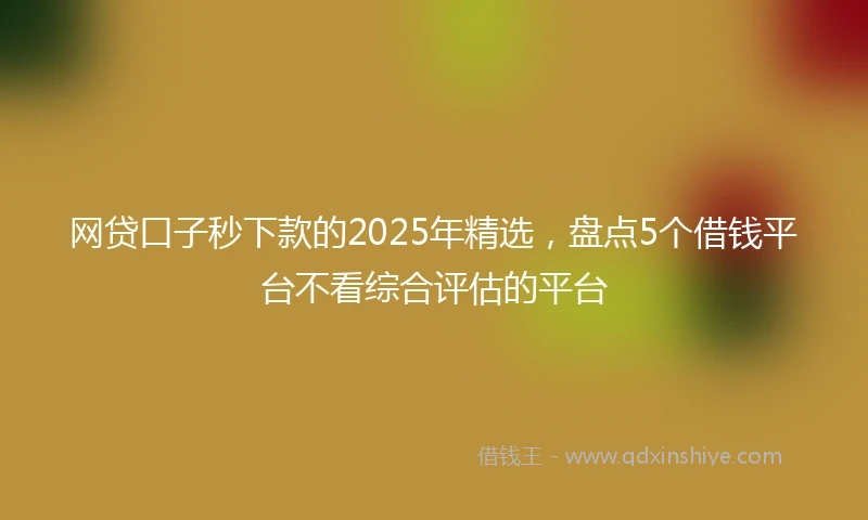 网贷口子秒下款的2025年精选，盘点5个借钱平台不看综合评估的平台