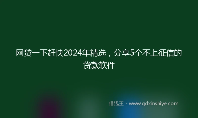 网贷一下赶快2024年精选，分享5个不上征信的贷款软件