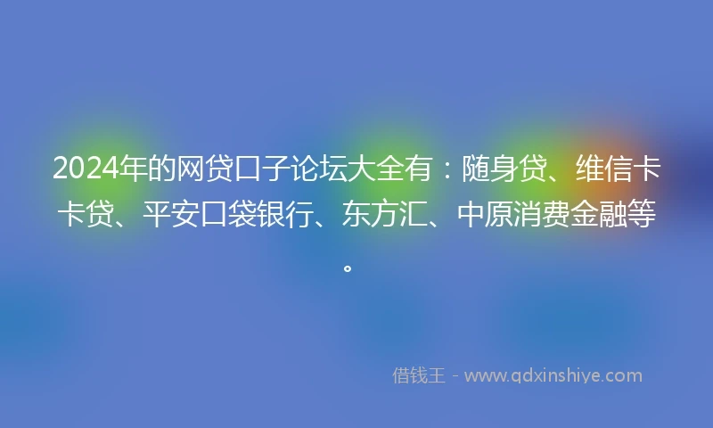 2024年的网贷口子论坛大全有：随身贷、维信卡卡贷、平安口袋银行、东方汇、中原消费金融等。