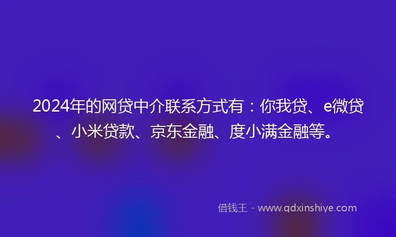 2024年的网贷中介联系方式有：你我贷、e微贷、小米贷款、京东金融、度小满金融等。