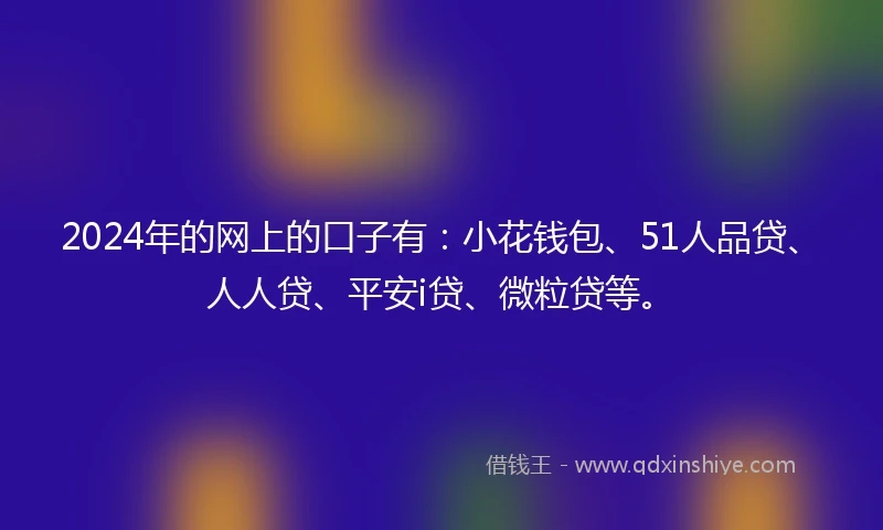 2024年的网上的口子有：小花钱包、51人品贷、人人贷、平安i贷、微粒贷等。