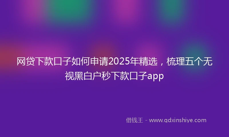 网贷下款口子如何申请2025年精选，梳理五个无视黑白户秒下款口子app