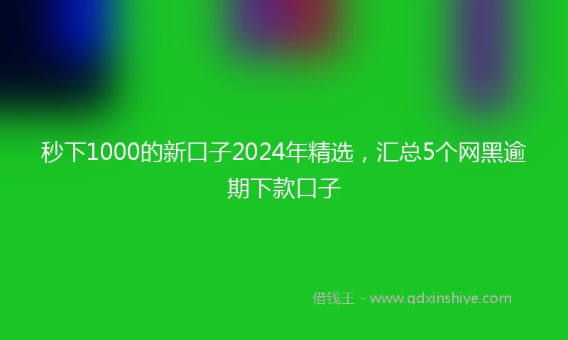 秒下1000的新口子2024年精选，汇总5个网黑逾期下款口子